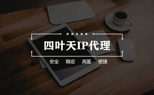 【海东代理IP】如何快速搭建代理IP？怎么检查代理的效果？